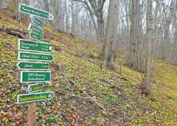 Winterlinge   Wanderung Im Jenaer Rautal 2020 0003